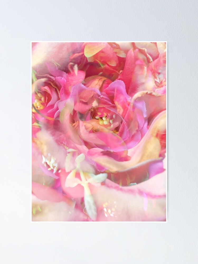 Póster Fondo Rosado Floreciente Del Extracto De La Textura De La Rosa De Mrvell Redbubble