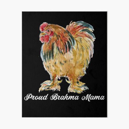 Brahma Chickens: Over 38 Royalty-Free Licensable Stock Illustrations &  Drawings