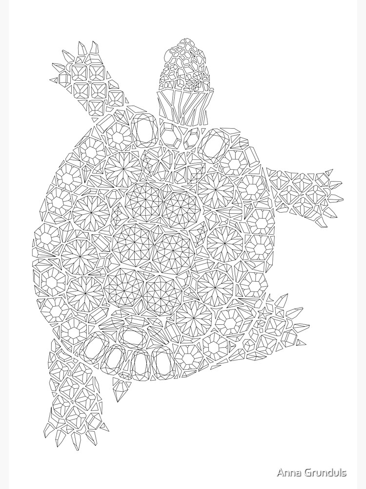 turtle coloring page posters  redbubble