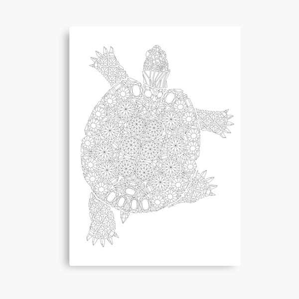 best turtle wall art  redbubble