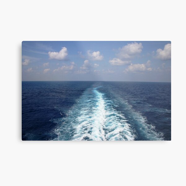 Sea Trail Metal Print