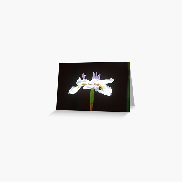 A Flower Greeting Card