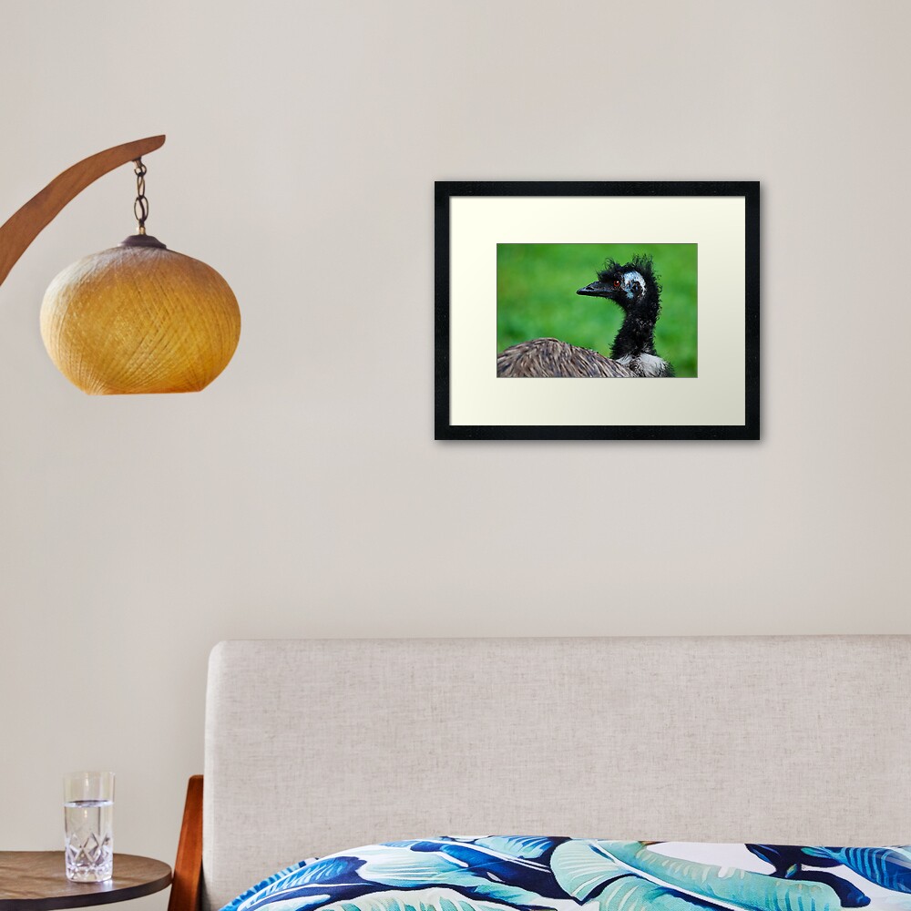 Emu Framed Art Print