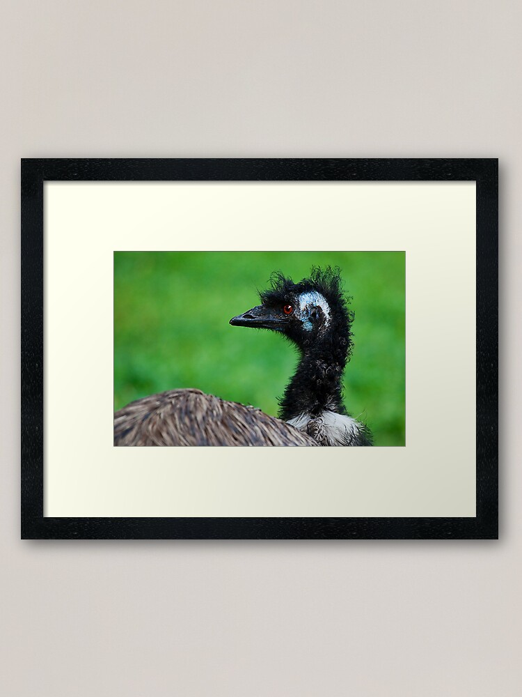 Alternate view of Emu Framed Art Print