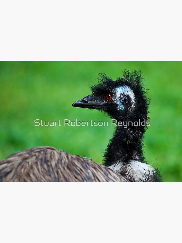 Emu by Sparky2000