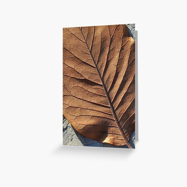 Leafscape Greeting Card
