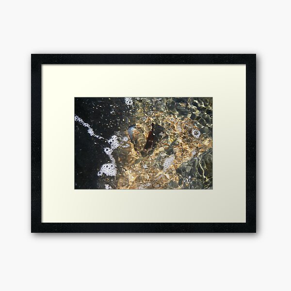 Shell under water Framed Art Print