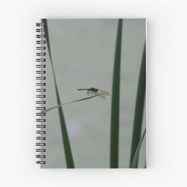 Item preview, Dragonfly Sihouette designed and sold by Jason Dymock Photography.