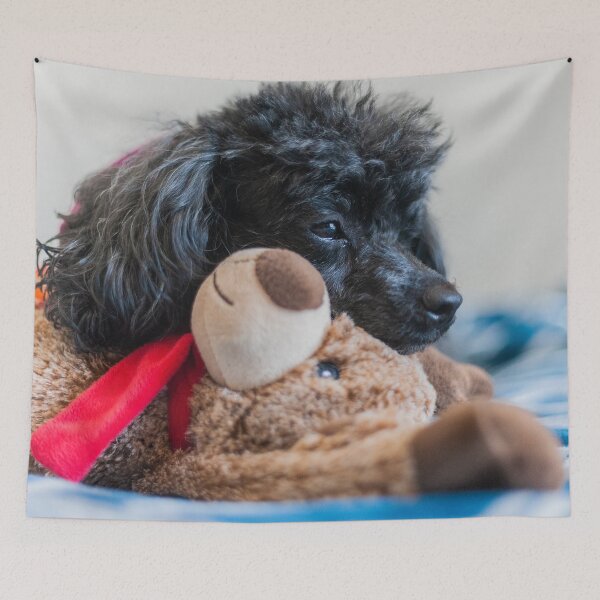 Item preview, fluff fluff designed and sold by KensLensDesigns.