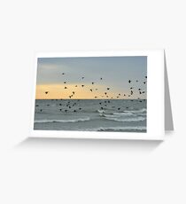 Evening Flight Greeting Card
