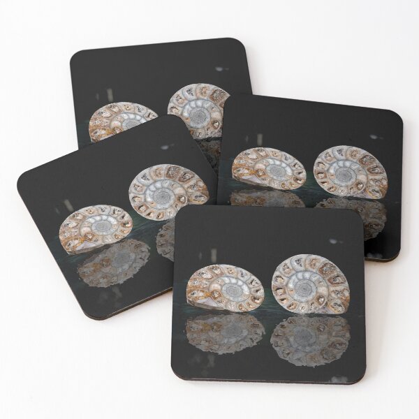 Item preview, © Ammonite Fossil, Morocco designed and sold by GeoPipics.