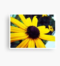 The One I Love. Canvas Print