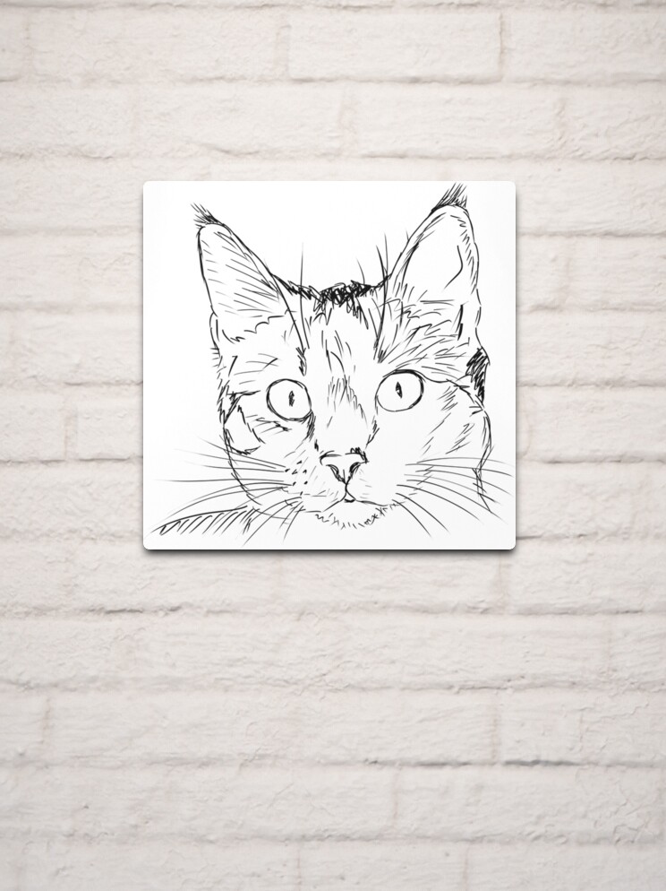 How to Draw a Realistic Cat Step by Step | Cat Head Sketch for Beginners -  YouTube