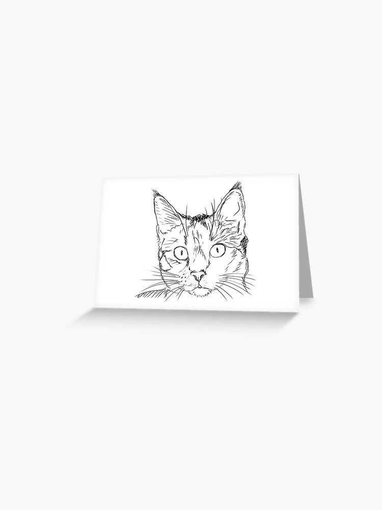 How to Draw a Cat Easy 🐾 - YouTube