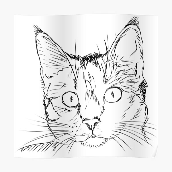 Poster Chat Etirement Dessin Au Trait Par Adamregester Redbubble