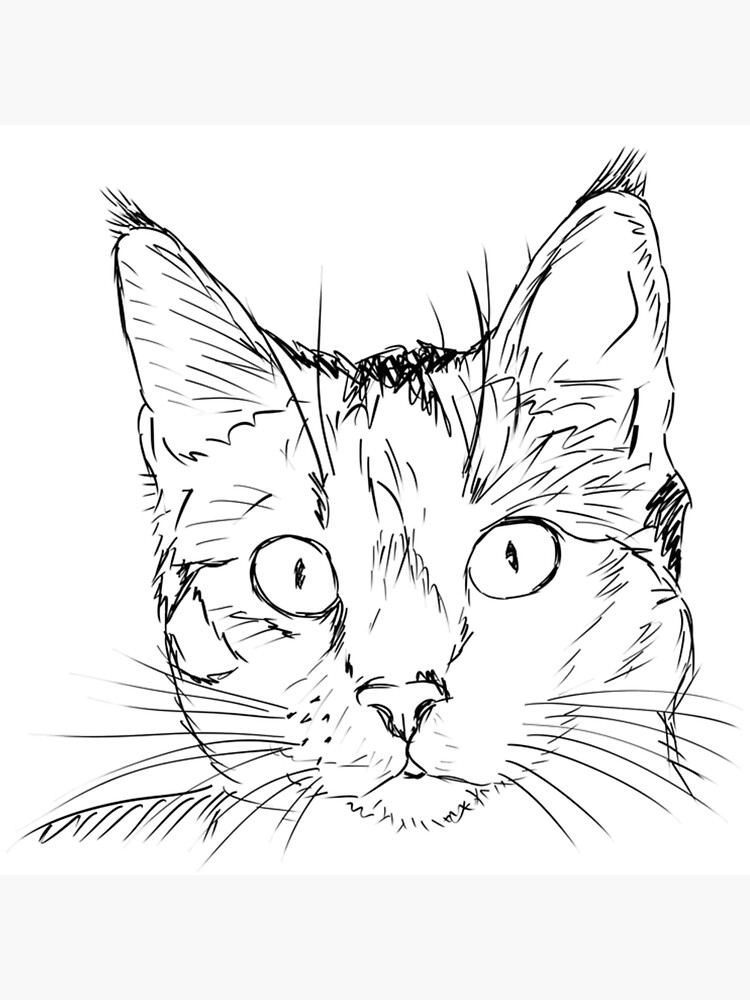 Cat Drawing Cute Cat Sketch Cat Art Cat Face Art Board Print By Galvanized Redbubble