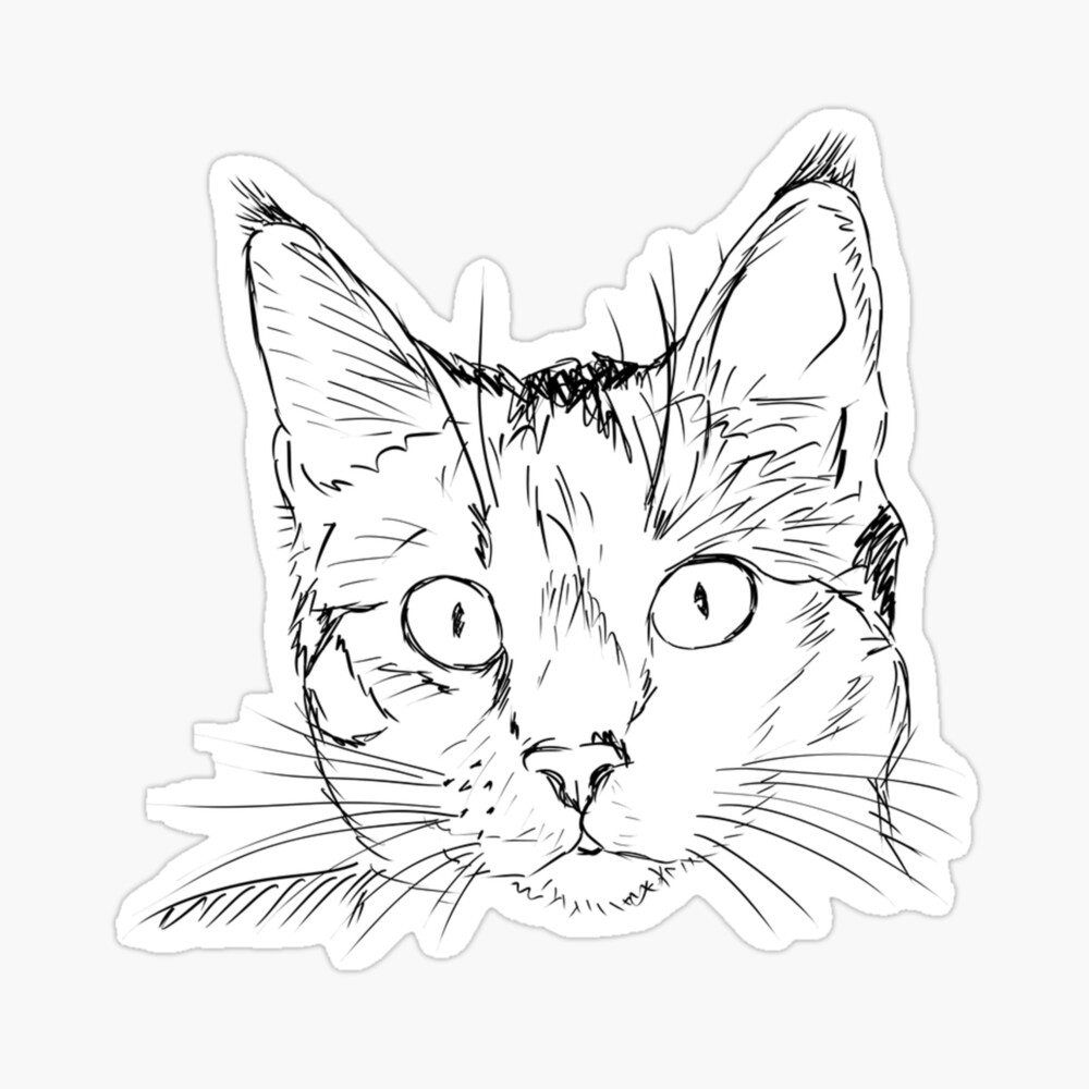 Cat Face Drawing by William Krupinski - Pixels