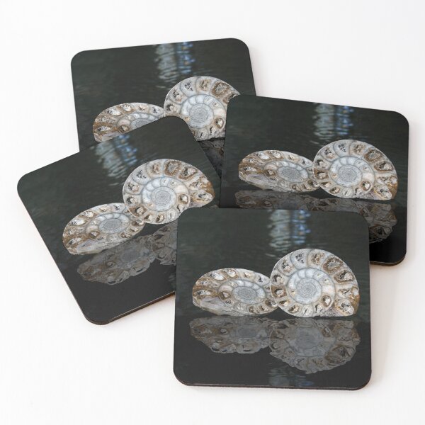Item preview, © Ammonite Fossil, Morocco designed and sold by GeoPipics.