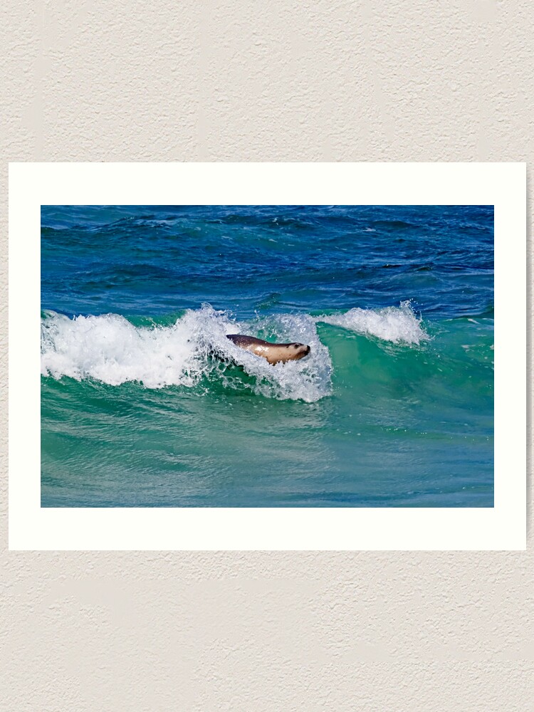 Alternate view of Surfing Sea Lion Art Print