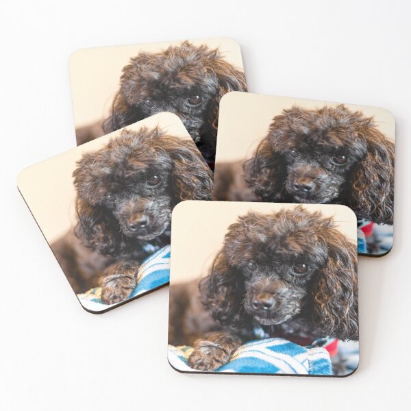 Item preview, Fluffy Pup designed and sold by KensLensDesigns.