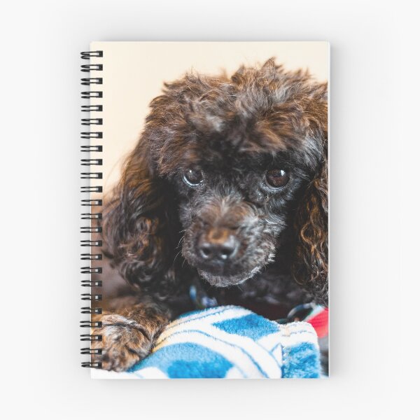 Item preview, Fluffy Pup designed and sold by KensLensDesigns.
