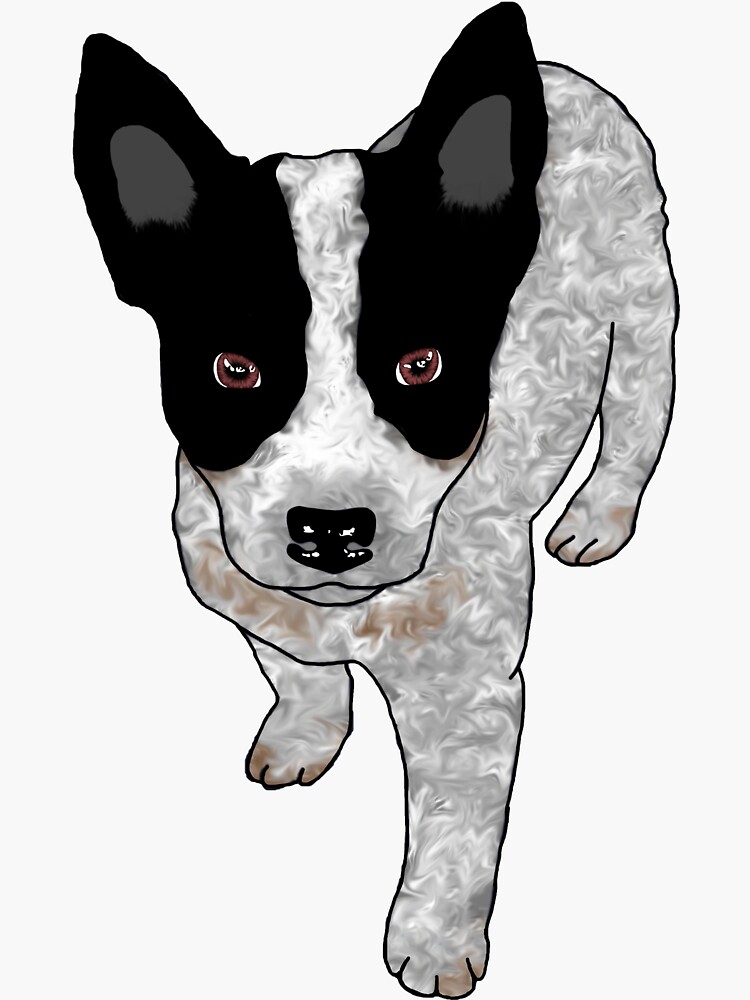 "Blue Heeler Puppy" Sticker by reganngregg | Redbubble