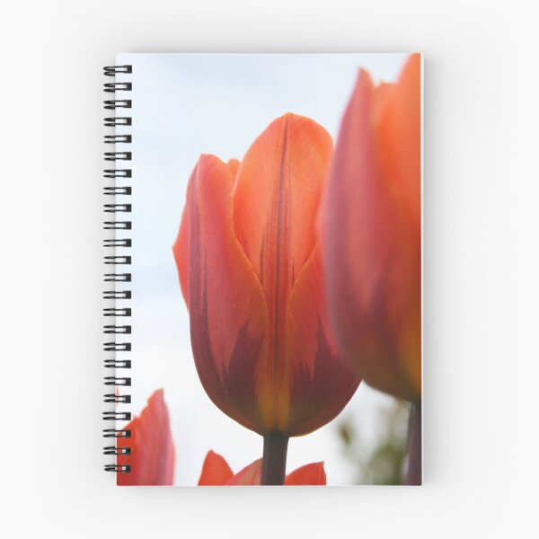 Item preview, a different view designed and sold by Jason Dymock Photography.
