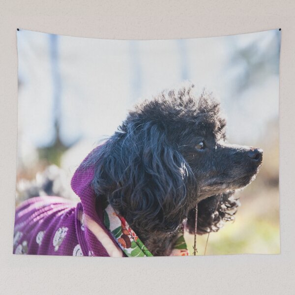 Item preview, Fluffy Dog designed and sold by KensLensDesigns.