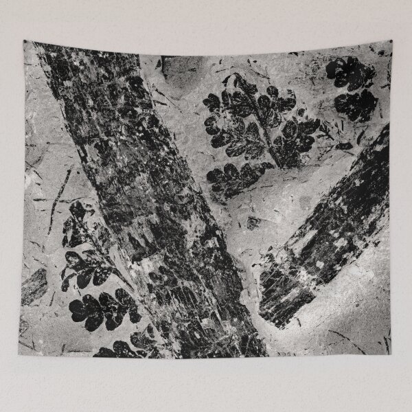 Item preview, © Plant Fossils designed and sold by GeoPipics.
