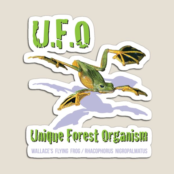 UFO - Unique Forest Organism Magnet