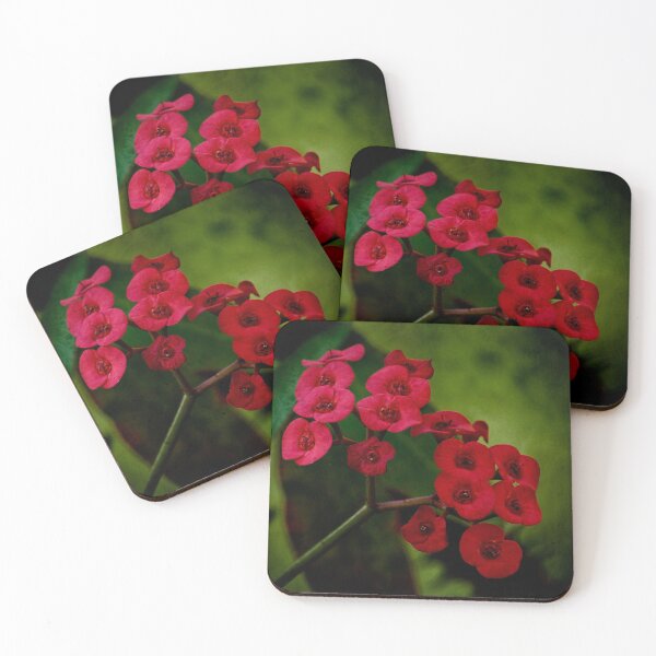 Item preview, Red euphorbia designed and sold by Art in Nature.