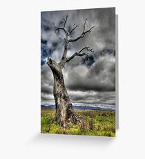 Alone again. Greeting Card