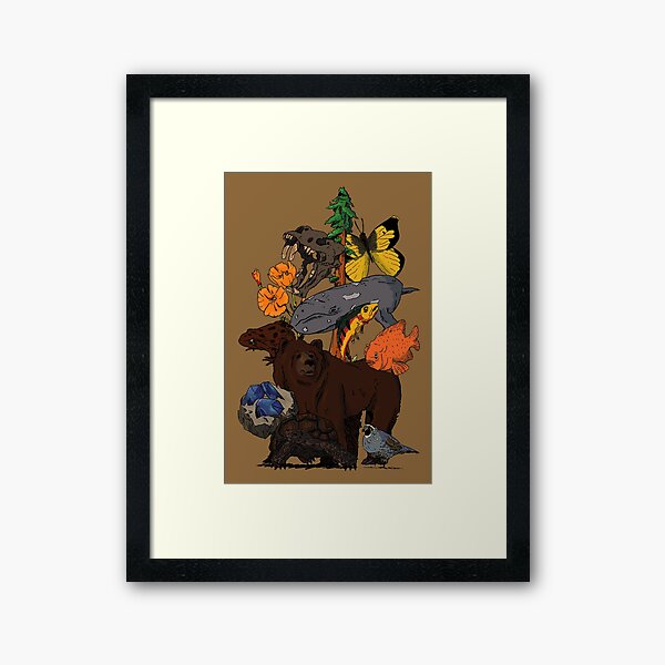 Framed Print
