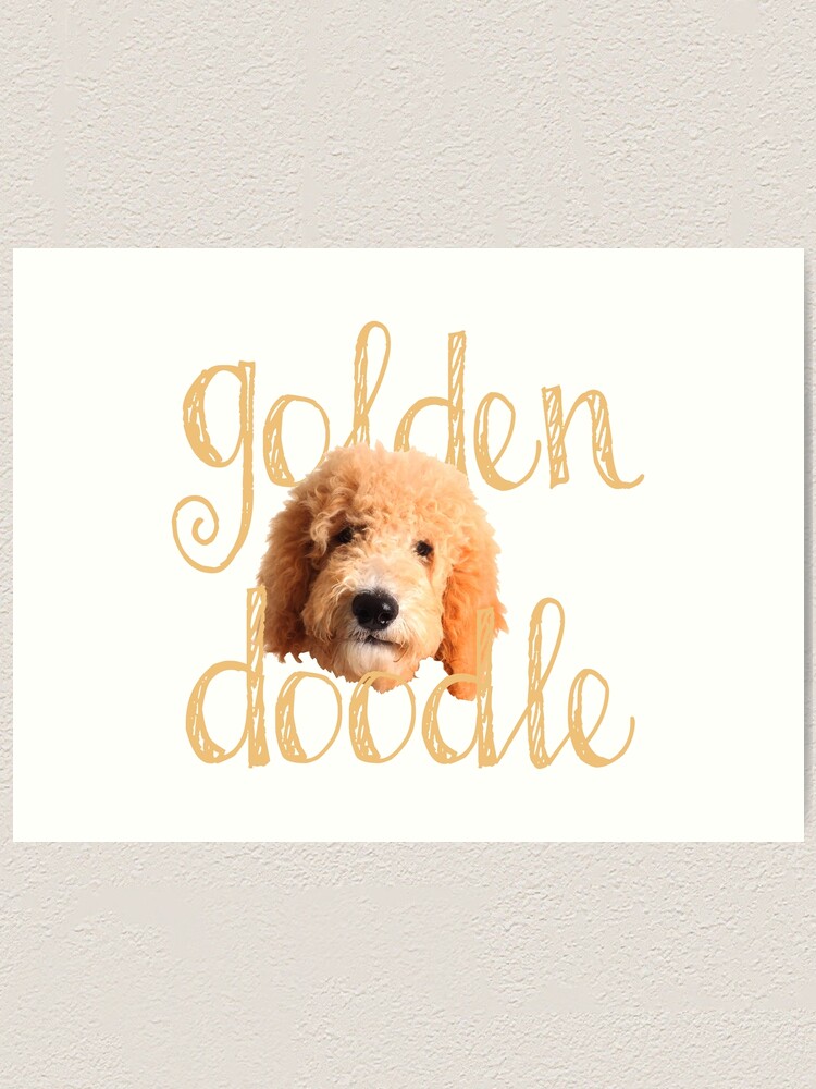 goldendoodle gifts