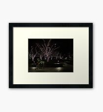 Branches of Light Framed Print