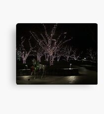 Branches of Light Canvas Print