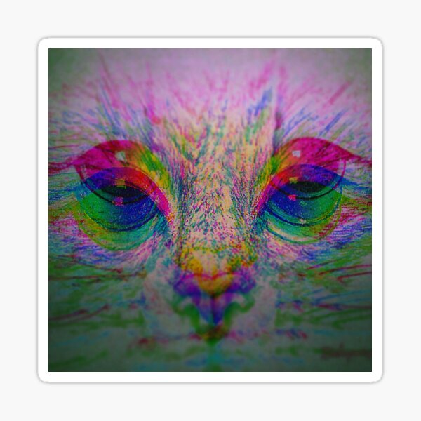 Kitty Sticker