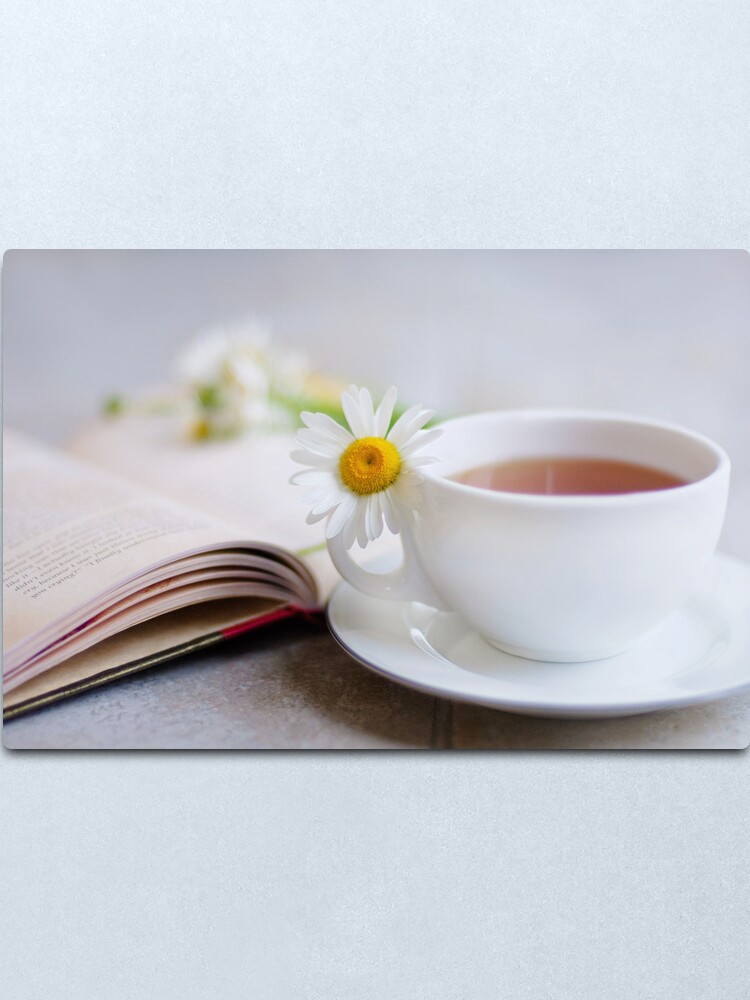 Alternate view of a good book should leave you slightly exhausted at the end. You live several lives while reading it... Metal Print