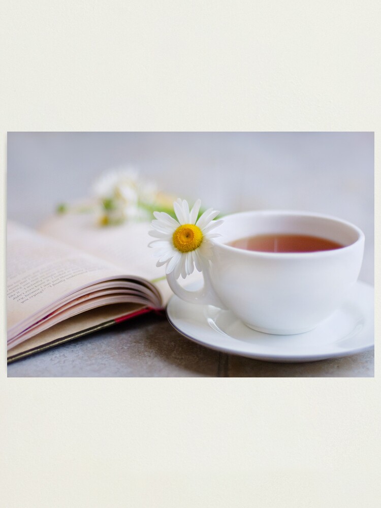 Alternate view of a good book should leave you slightly exhausted at the end. You live several lives while reading it... Photographic Print