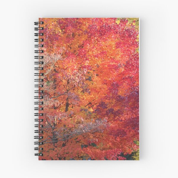 Item preview, Autumn Trees at the Park designed and sold by Gilda Axelrod.