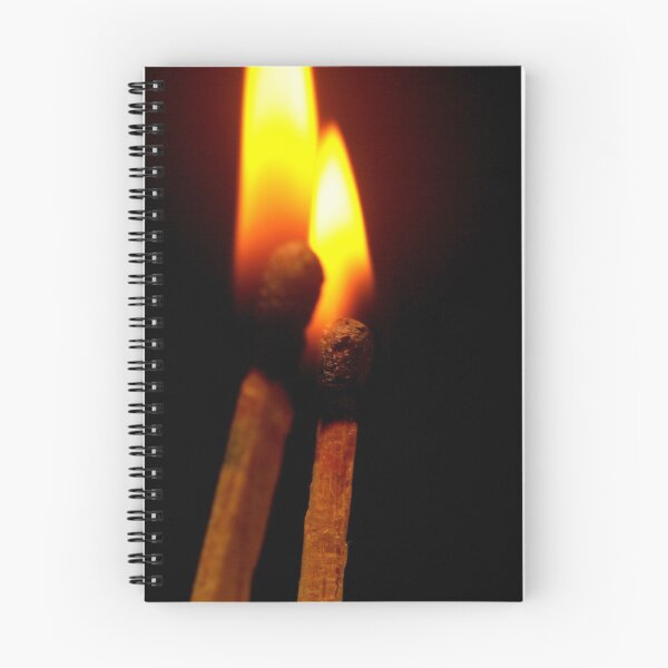 Item preview, you light up my life designed and sold by lensbaby.