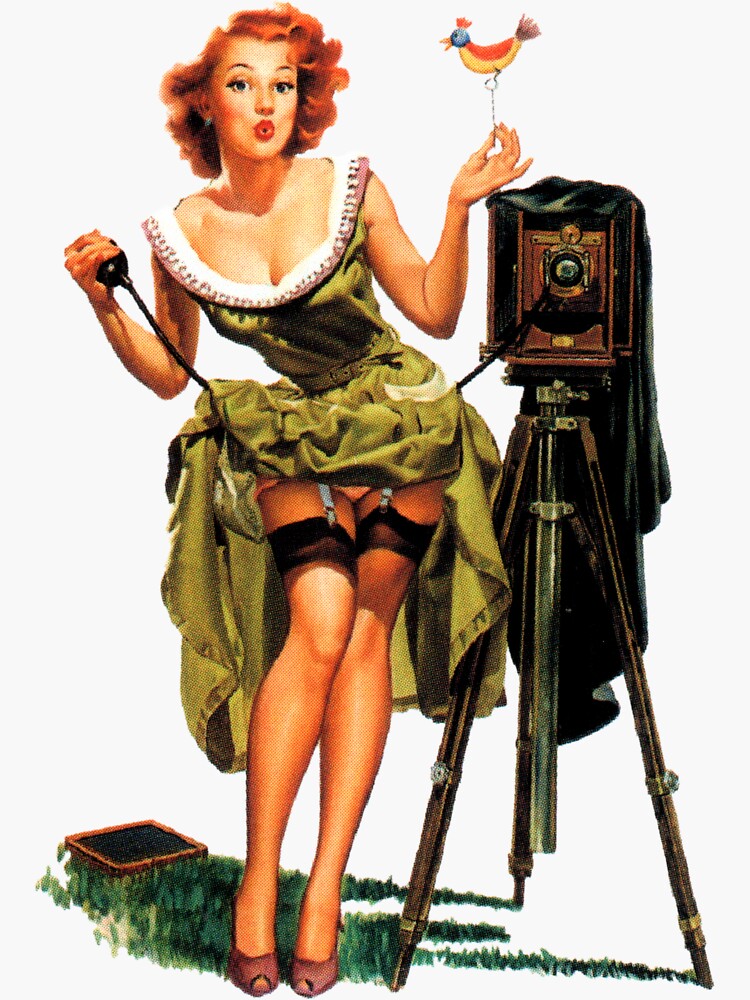 Camera Pin Up