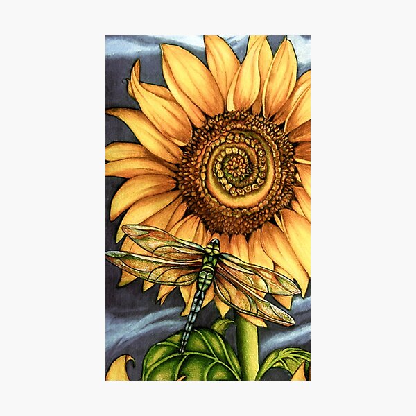 dragonfly Sunflower Photographic Print