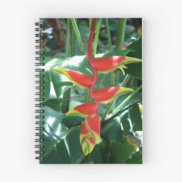 Item preview, Hawaii Heliconia Tropical Hawaiian Aloha Flower designed and sold by alohagiftbox.