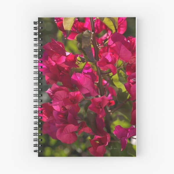 Item preview, Shine On Bougainvillea designed and sold by Joy Watson - Natural Light Photography .