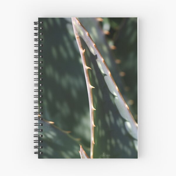 Item preview, Succulent Sharp designed and sold by Joy Watson - Natural Light Photography .