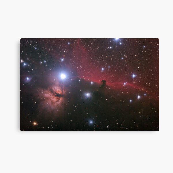 Nebular comples in Orion's Belt. "Horse head" and "Flaming tree" nebulas. Canvas Print