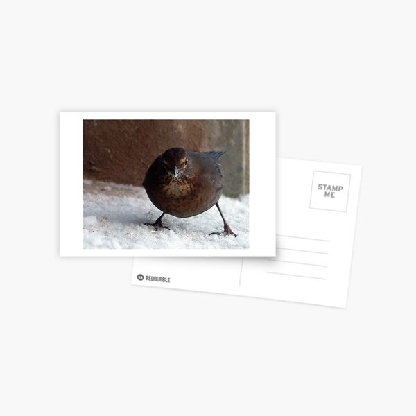 Item preview, Oops.......... A CAMERA...... designed and sold by TREVOR34.