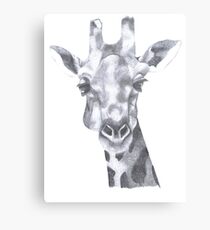 The Giraffe Canvas Print