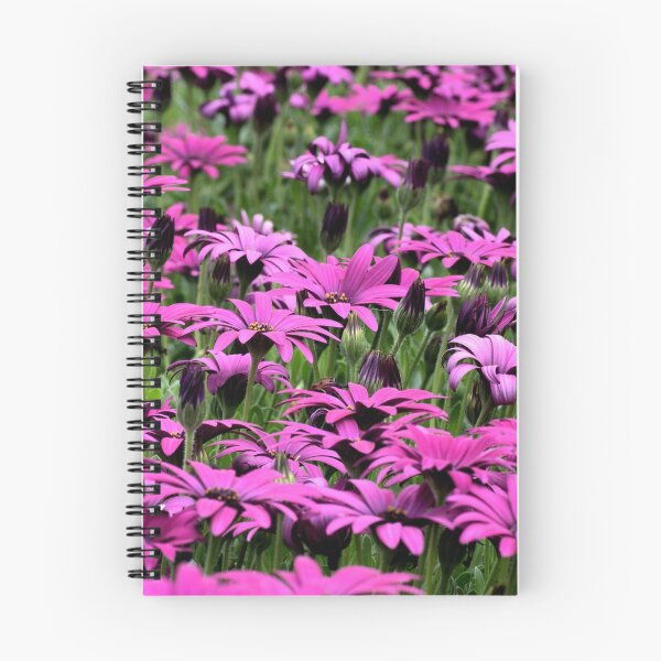 Item preview, Daisies & More . . . designed and sold by Joy Watson - Natural Light Photography .